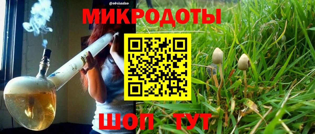 Галлюциногенные грибы GOLDEN TEACHER  Галлюциногенные грибы ЛСД  Вход с VPN  Холмск 